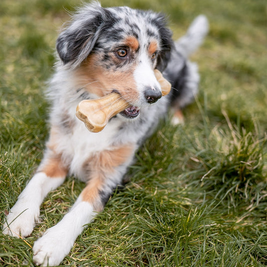 Nobby Kauknochen gepresst 5er Set 9 cm 100% Rinderhaut fettarm Büffelhautknochen