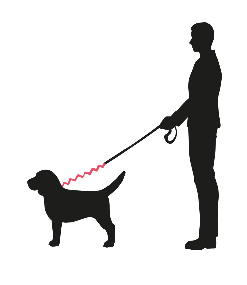 Nobby Soft Stop Belt Ruckdämpfer Hundeleine Joggen Fahrrad Gassi Leine Hund