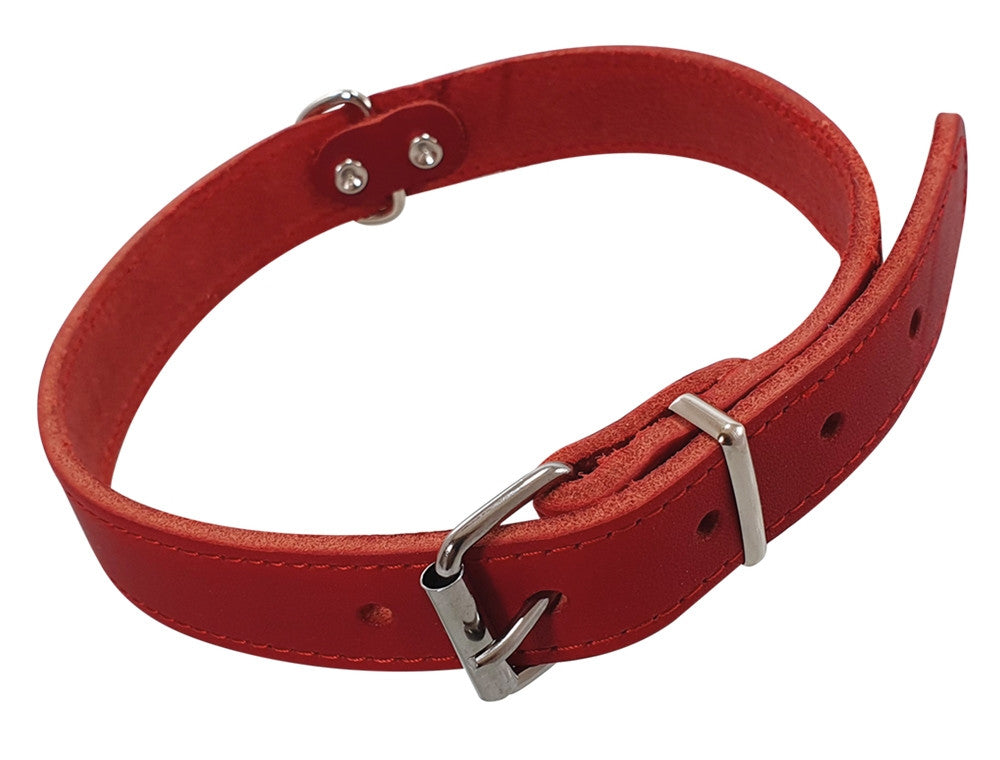 Nobby Halsband TABIL Halsband Hund Dog Leder S S-M M M-L L diverse Farben