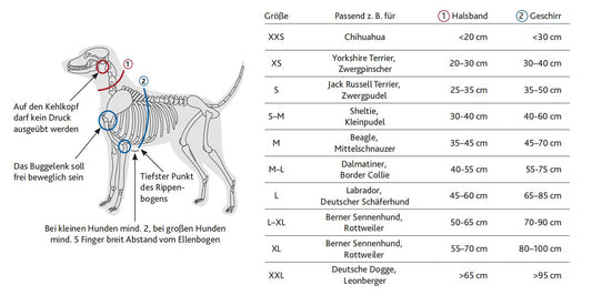 Trixie Premium Hunde H-Geschirr schwarz Hunde Dog