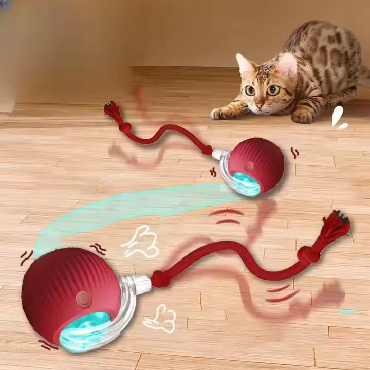 Elektrisch Katzenball Interaktives Katzenspielzeug Ball Katze Cat Hund Dog USB Aufladbar