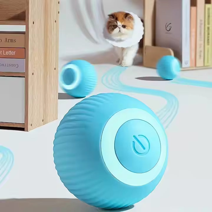 Katzenspielzeug Elektrisch mit LED Licht, Wiederaufladbarer Elektrisch Katzenspielzeug Ball mit Type-C Aufladbar 360° Interactive Hunting Cat Toy für Selbstbeschäftigung für Katzen und Kätzchen