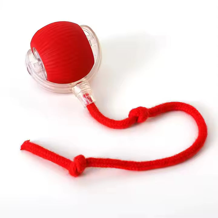Elektrisch Katzenball Interaktives Katzenspielzeug Ball Katze Cat Hund Dog USB Aufladbar