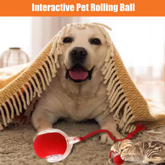 Elektrisch Katzenball Interaktives Katzenspielzeug Ball Katze Cat Hund Dog USB Aufladbar