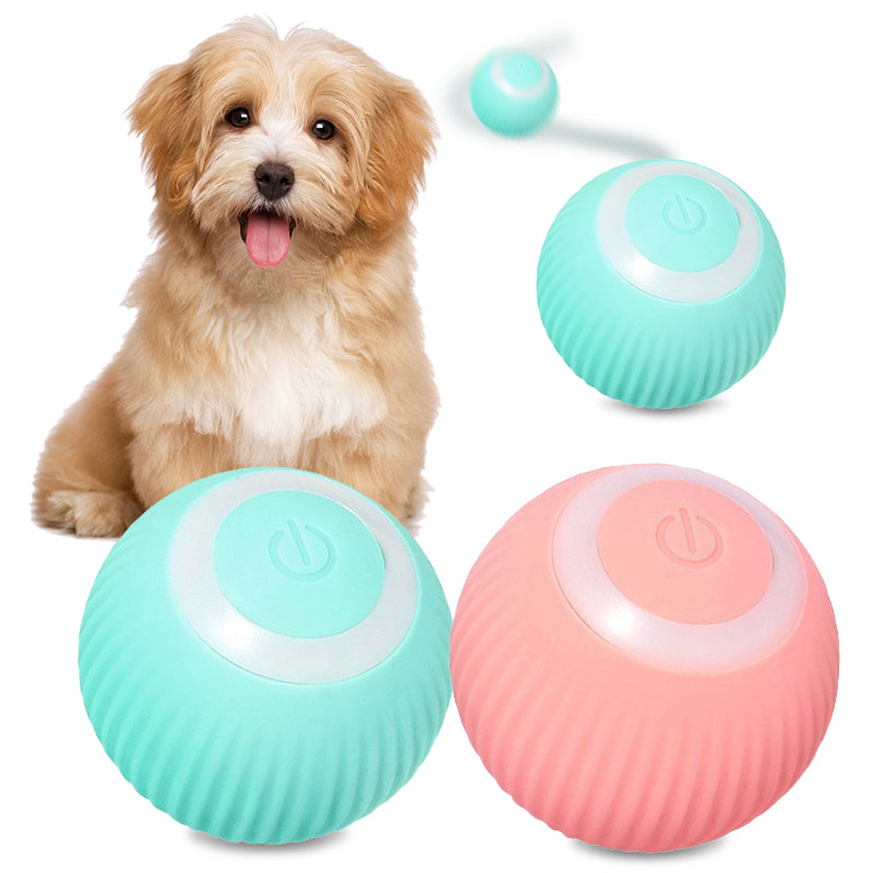 Katzenspielzeug Elektrisch mit LED Licht, Wiederaufladbarer Elektrisch Katzenspielzeug Ball mit Type-C Aufladbar 360° Interactive Hunting Cat Toy für Selbstbeschäftigung für Katzen und Kätzchen