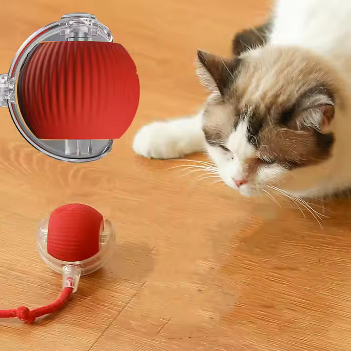Elektrisch Katzenball Interaktives Katzenspielzeug Ball Katze Cat Hund Dog USB Aufladbar