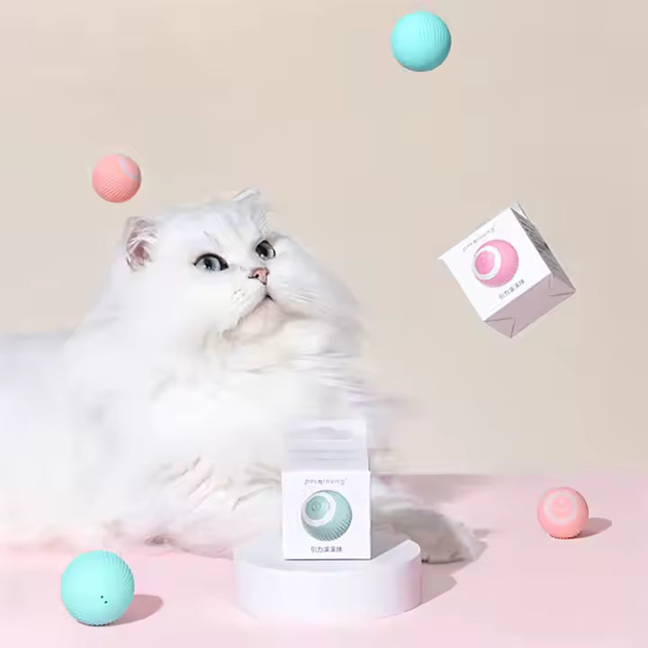 Katzenspielzeug Elektrisch mit LED Licht, Wiederaufladbarer Elektrisch Katzenspielzeug Ball mit Type-C Aufladbar 360° Interactive Hunting Cat Toy für Selbstbeschäftigung für Katzen und Kätzchen