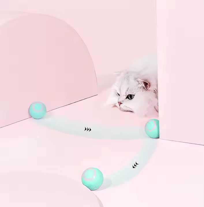 Katzenspielzeug Elektrisch mit LED Licht, Wiederaufladbarer Elektrisch Katzenspielzeug Ball mit Type-C Aufladbar 360° Interactive Hunting Cat Toy für Selbstbeschäftigung für Katzen und Kätzchen