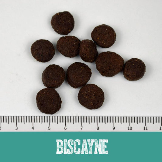 BLACK CANYON Biscayne - Lachs und Huhn 14 kg /5 kg / 1,5 kg