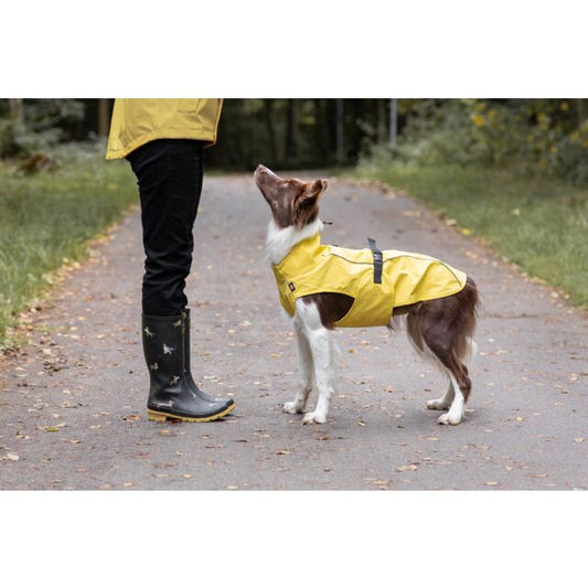 Trixie Hunde Regenmantel Vimy gelb türkis rot petrol Mantel wasserdicht