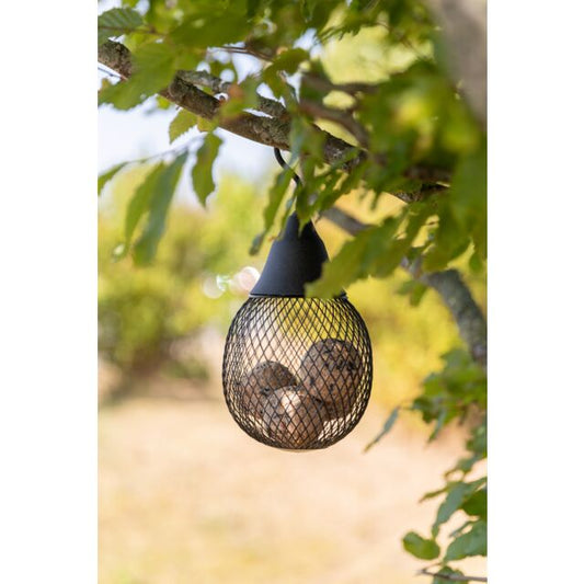 Trixie Futterspender für Wildvögel Meisenknödelhalter Vogelfutterhalter Vogel