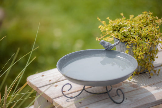 Trixie Vogeltränke stehend Metall Vogelbad Wasserstelle Tränke Vogel