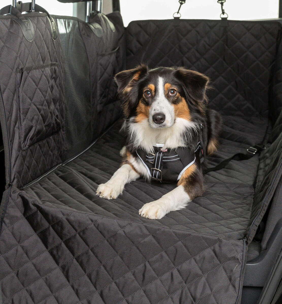 Trixie Auto Schondecke für die Rückbank Wasserdicht Hund Transport Reise NEU
