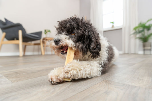 Kaukäse für Hunde ideal für allergieanfällige Hunde XS,S,M,L Snack Leckerlie