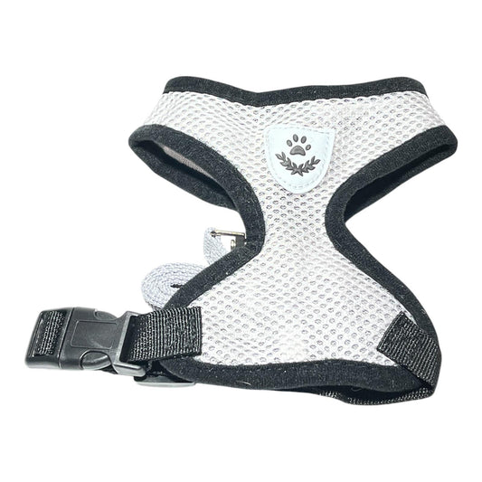 Hundegeschirr mit Leine Mash Soft Verstellbar Hund Dog kleine Hunde Geschir