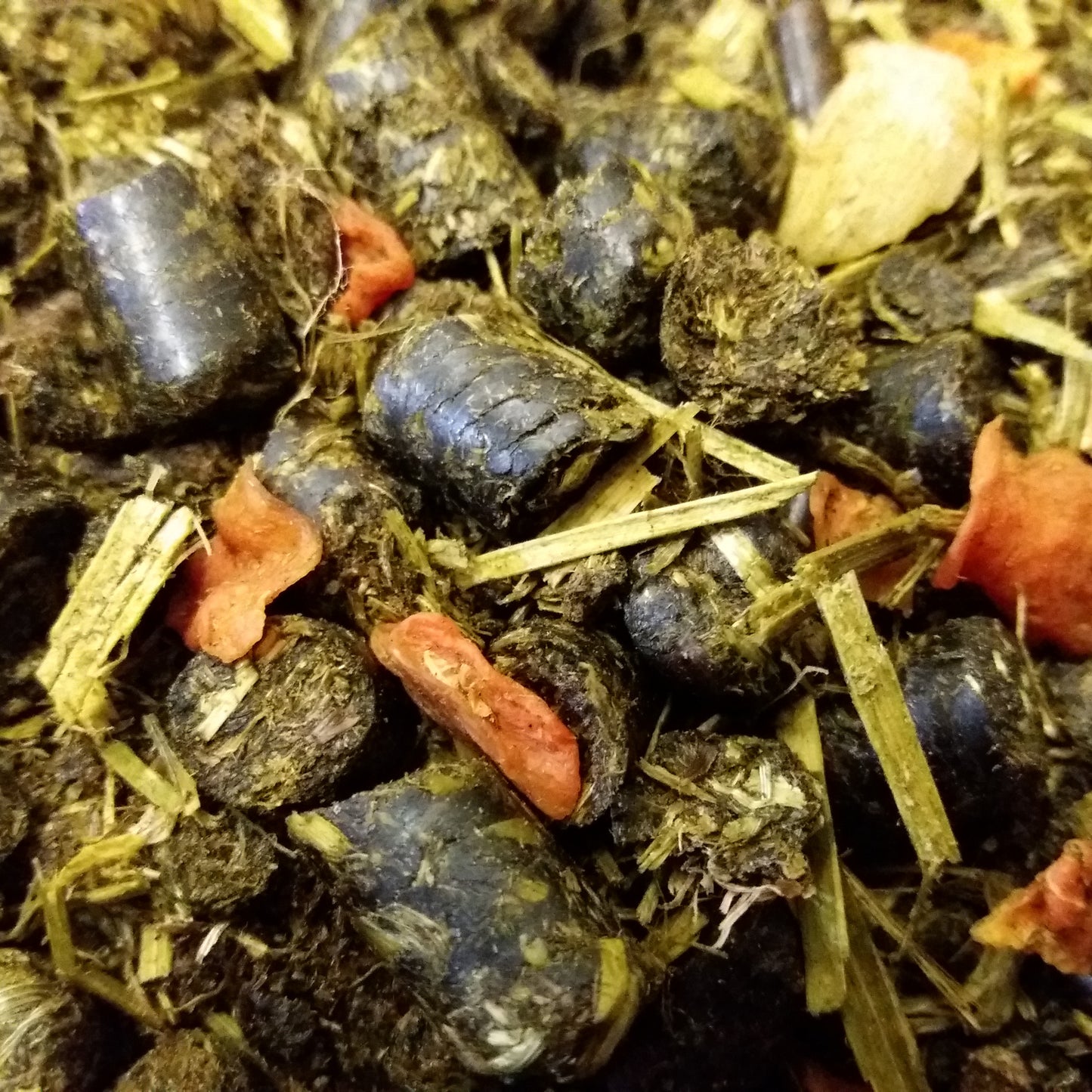 Gedreidefrei Premium Kaninchenfutter 950g Kaninchen Futter