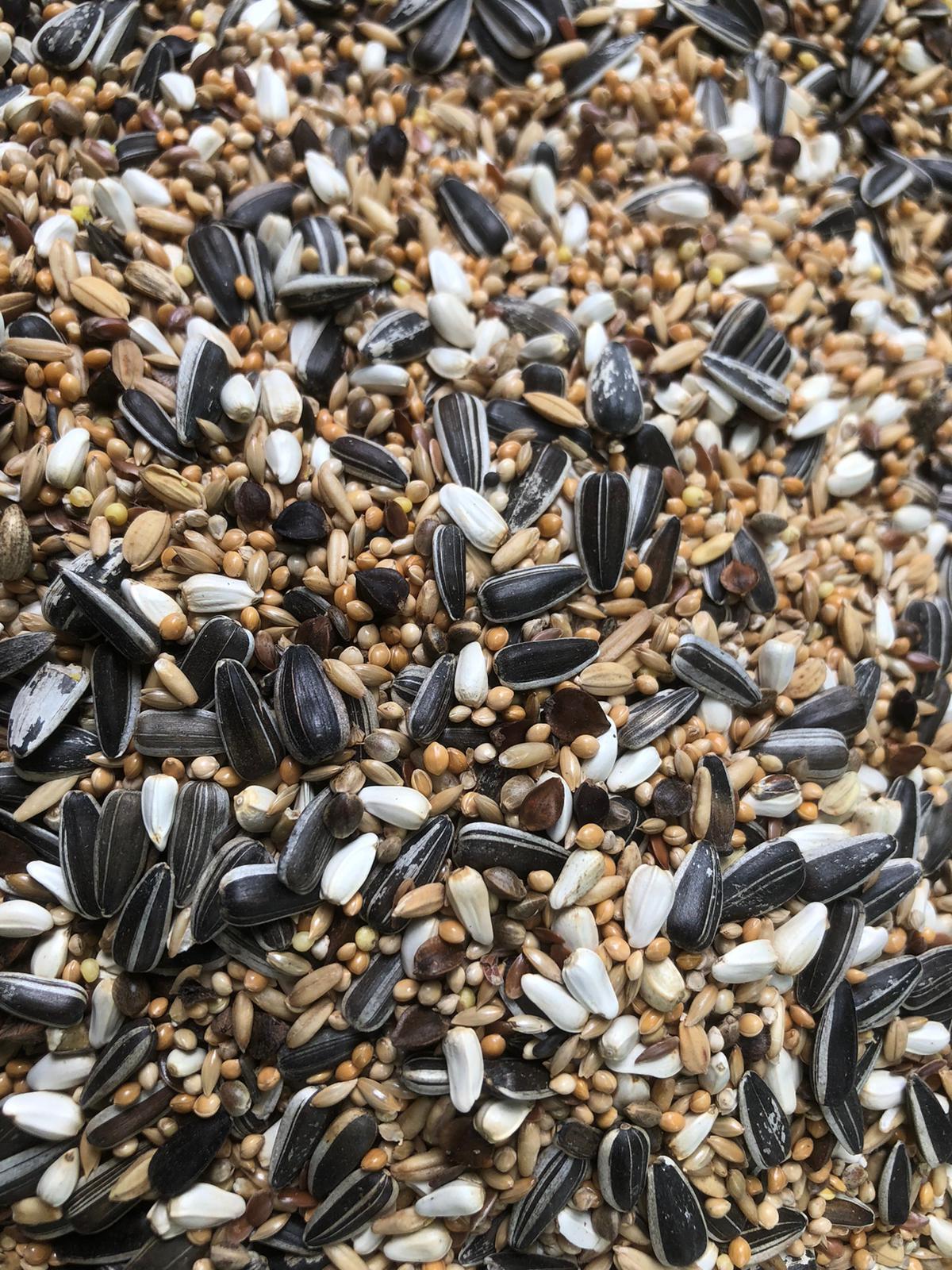 Tessmers Großsittichfutter 950 g Premium Qualität Nymphensittich Ziegensittich