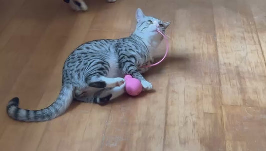 Magic Tail Silikon Interaktives Katzen Spielzeug Maus Schwanz Spielzeug Ball
