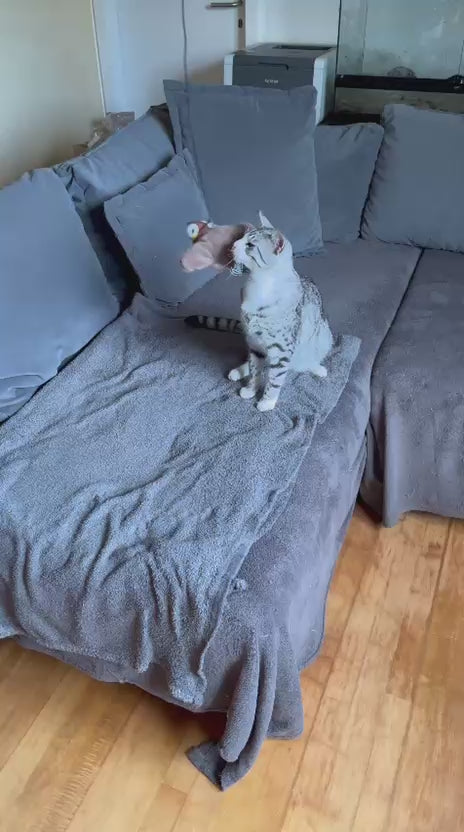 Katzenspielzeug Vogel Simuliertes Zwitscherndes, Selbstbeschäftigung Bird Cat Toy Interaktives Katzenspielzeug Elektrisch Vogel,Flapping Bird Cat Toy