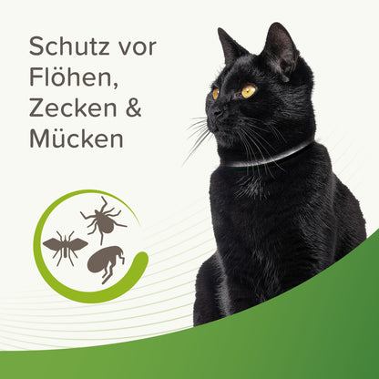 Beaphar Zeckenschutzhalsband Flohschutzhalsband Ungezieferhalsband Katze 35 cm
