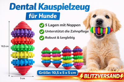 Denta Fun Rugbyball Football Ball TPR Hunde Dog Zahnpflege Kauspielzeug 5 Layer