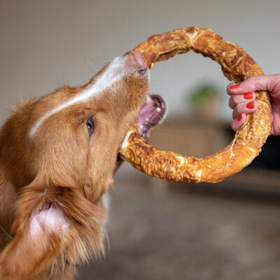 Nobby StarSnack Barbecue Chicken Donut XL 220g Huhn Bagel Leckerli Snack Hund