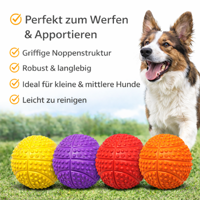 Hundespielzeug Hunde Dog Spielball Quietscher Ball Sportball  5,5 cm Basketball
