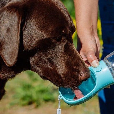 Nobby Trinkflasche 2in1 mint pink auslaufsicher Trinkwasserflasche Napf Hund