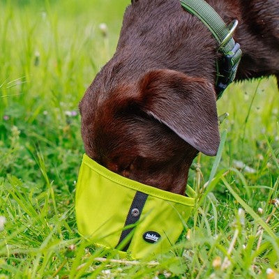 Nobby Reisenapf Rio robust faltbar Nylon Napf für unterwegs Futternapf Fressnapf