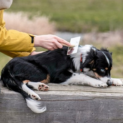 Nobby Nature Line Rupfbürste für Hunde Fellpflege Grob- und Kraushaar Bürste