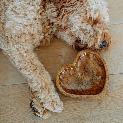 Nobby Holznapf Best Friend rutschfest Napf Fressnapf Futternapf Katze Hund