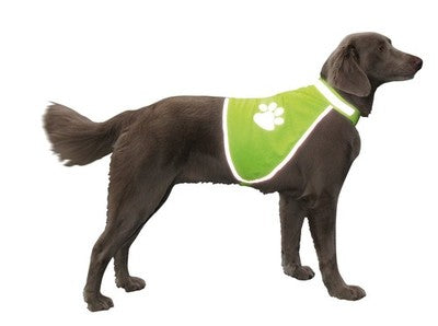Nobby Sicherheitsweste Hund Warnweste Hundewarnweste Hundesicherheitsweste gelb