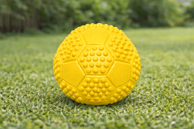 Hundespielzeug Hunde Dog Spielball Quietscher Ball Sportball  7 cm