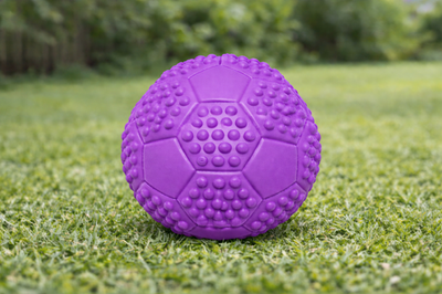 Hundespielzeug Hunde Dog Spielball Quietscher Ball Sportball  7 cm