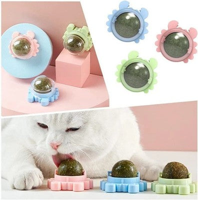 Katzen Leck Kugel Ball Katzenminze Leckenball Spielzeug Katze Gesundheit