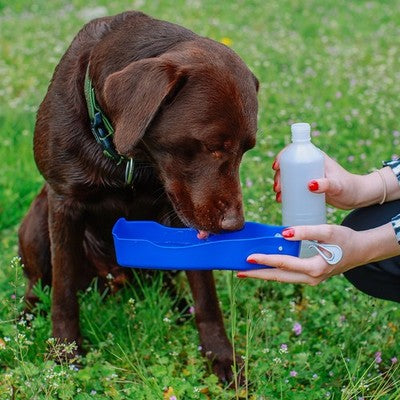 Nobby Reise-Trinkwasserflasche faltbar Trinkflasche Wassernapf Napf Hund