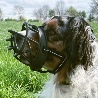 Nobby Maulkorb Comfort robust und leicht reflektierend Hundemaulkorb Hund
