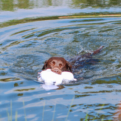 Nobby Hundespielzeug Eisbär Floating schwimmt quietschend Spielzeug Hund
