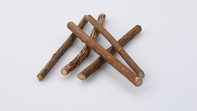 10 x original Matatabi Katzenminze Sticks Cat Nip Kausticks kauen spielen