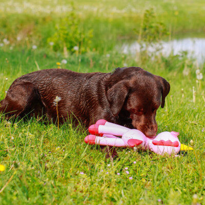 Nobby Hundespielzeug Einhorn Floating quietscht schwimmt Spielzeug Hund