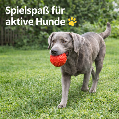 Hundespielzeug Hunde Dog Spielball Quietscher Ball Sportball  7 cm