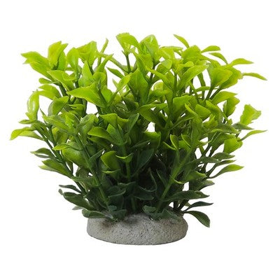 Nobby Aqua Ornaments Ludwigia Pflanze Aquariendekoration Süßwasser Fische