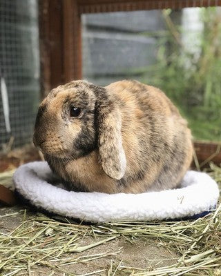 Nobby Nager Kleintiere Kuschelbett für Meerschweinchen Kaninchen Kuschel Bett