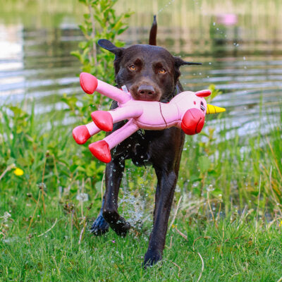 Nobby Hundespielzeug Einhorn Floating quietscht schwimmt Spielzeug Hund