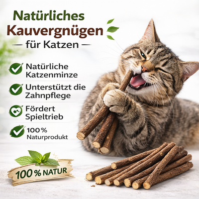 10 x original Matatabi Katzenminze Sticks Cat Nip Kausticks kauen spielen