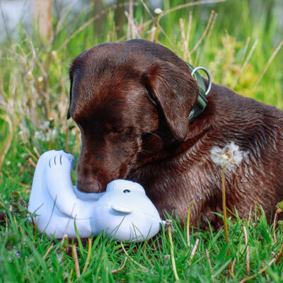 Nobby Hundespielzeug Eisbär Floating schwimmt quietschend Spielzeug Hund