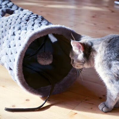 Nobby Katzentunnel Diamond knisternd Katzenspielzeug Spielzeug Katze