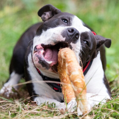 Nobby StarSnack Barbecue Chicken Donut XL 220g Huhn Bagel Leckerli Snack Hund