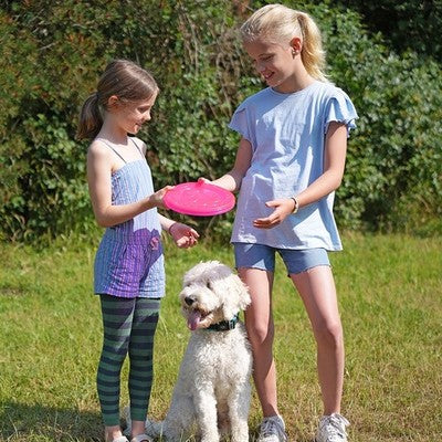 Nobby Hundespielzeug TPR Fly-Disc 22cm schwimmt Dog Disc Frisbee Scheibe robust