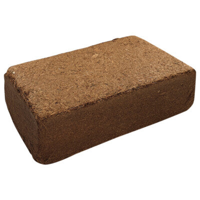 Nobby Kokoseinstreu fein 60L Kokosfaserhumus Terrariensubstrate Spinne Kokosfaser